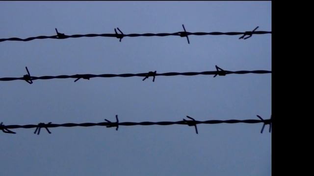KZ Neuengamme смотреть онлайн