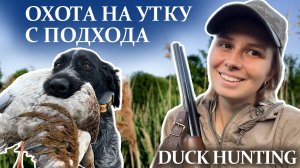 Осенняя охота на утку с дратхааром Солой, девушка охотник / Duck hunting