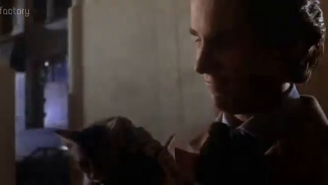 Mareux X Tobi King - The Perfect Girl X Loli Mou (mashup) (speed Up)