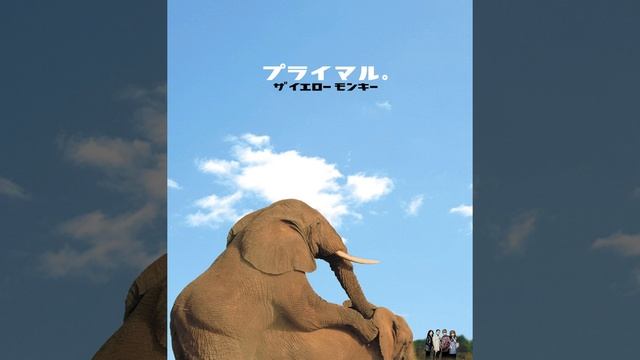 Primal. смотреть онлайн