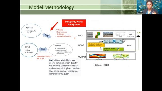 Uwe Best: Mangrove interaction with tidal flow, waves & long term sedimentation смотреть онлайн