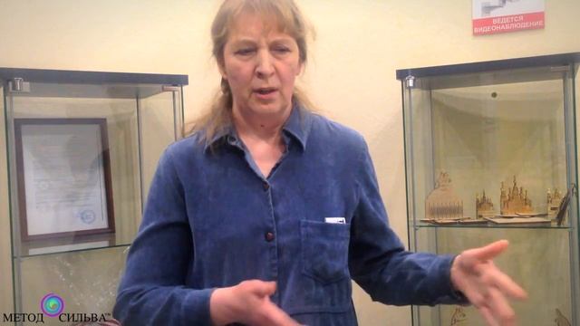 Отзыв о живом семинаре в Санкт-Петербурге (Ирина Прокофьева) смотреть онлайн