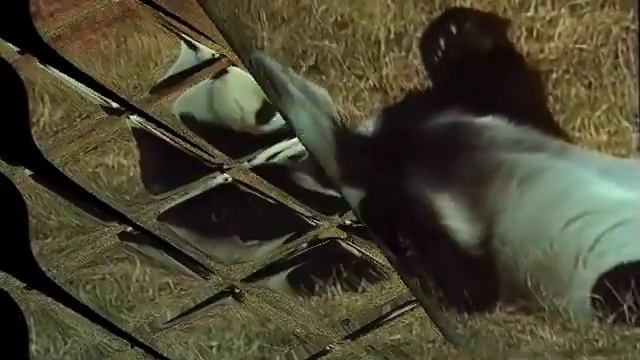 Мовави Видеоредактор11: Эффект стеклянная мозайка смотреть онлайн