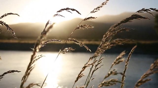 Beautiful Relaxing Music • Peaceful Piano Music & Guitar Music-Green Forest and Water Falls смотреть онлайн