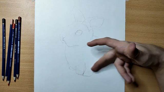 Как НАРИСОВАТЬ КРОЛИКА карандашом, цветными карандашами и маркерами | Новогодний Кролик 2023 смотреть онлайн