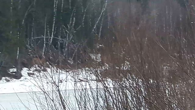 Скоро ледоход!.mp4