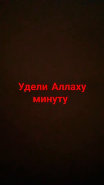 уделили Аллаху минуту Аллах велик #аллахуакбар #коран #коран #сура #аминь #аллахвелик #рекомендации смотреть онлайн