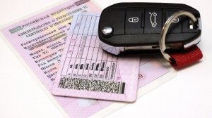 Забыл СТС или права дома и нужно ехать: рекомендации от эксперта
