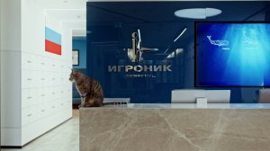 Группа компаний «Игроник»