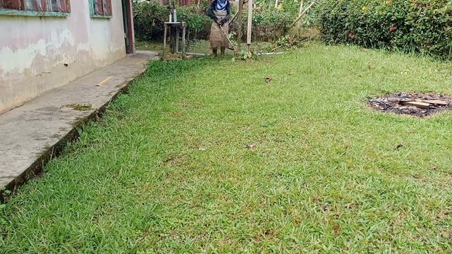Potong Rumput yang pendek pakai Tali Nylon Trimmer Mesin Rumput смотреть онлайн