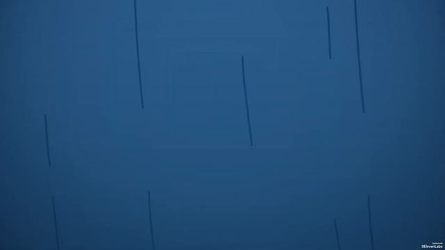 История Тигры, (English.Afrikaans) (2024)