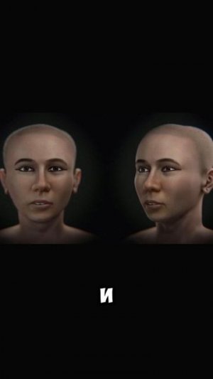 Вы тоже думали, что Тутанхамон был красавчик? #научныефакты #zloered #наука