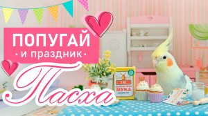 Попугай и праздник Пасха