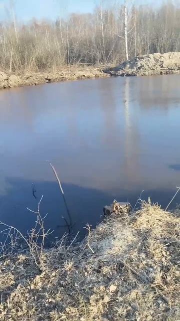 Красивый пруд смотреть онлайн