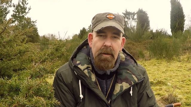 M) Medicinal plants, herbs & fungus смотреть онлайн