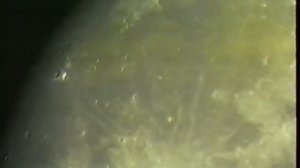 НЛО: необъявленный визит. НЛО на Луне