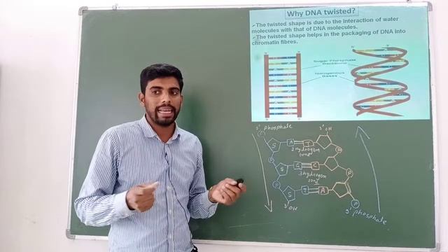 b -20 смотреть онлайн