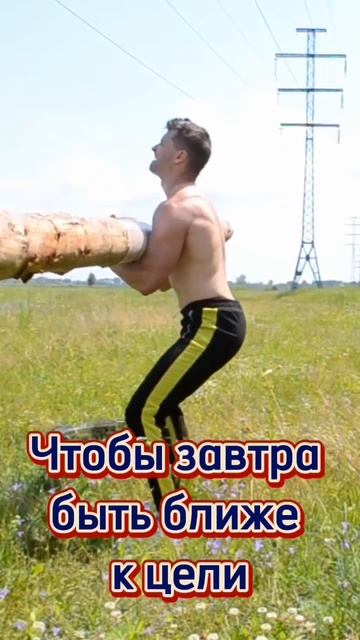 Встань и делай, мотивационная цитата. вдохновляйся и вдохновляй каждый день смотреть онлайн