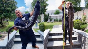 Невероятно вкусный шашлык из морского угря на мангале. Рецепт от Жоржа