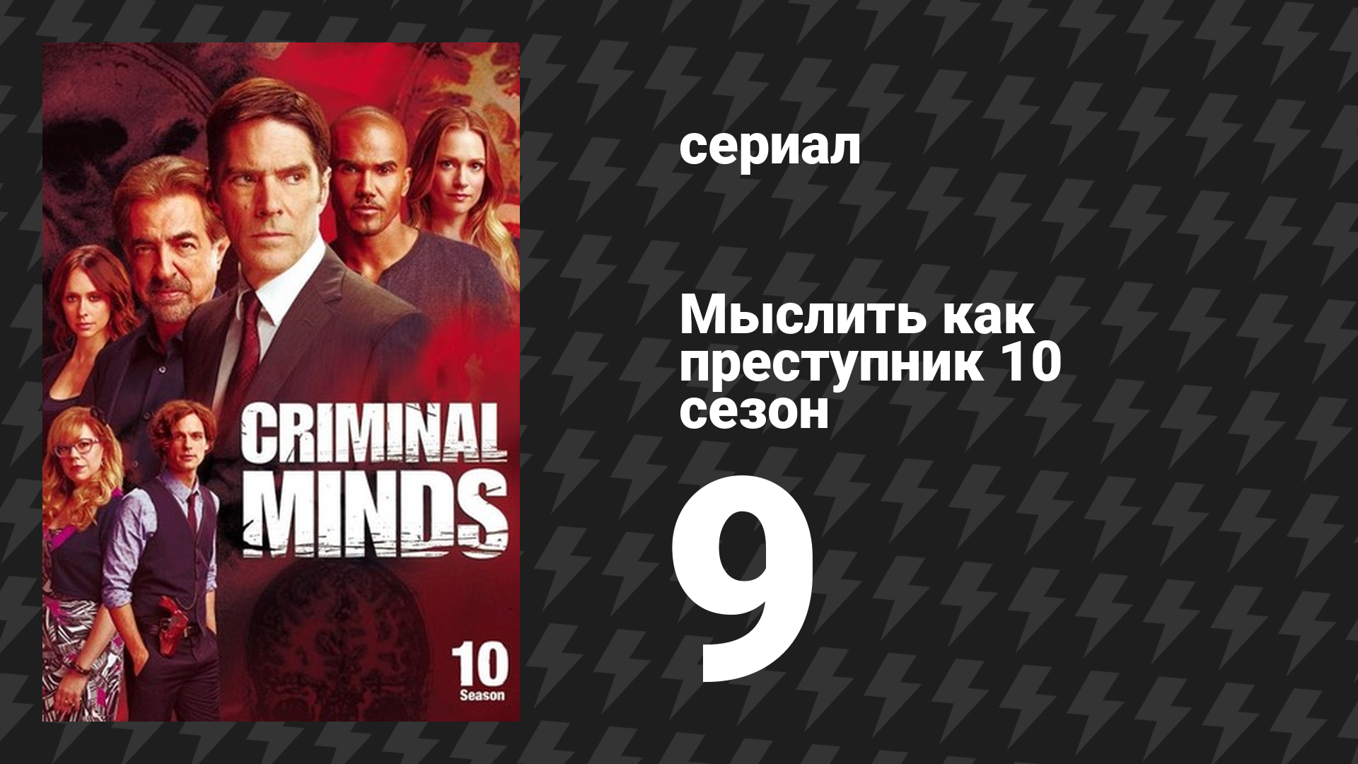 Мыслить как преступник 10 сезон 9 серия «Судьба» (сериал, 2005-2020)