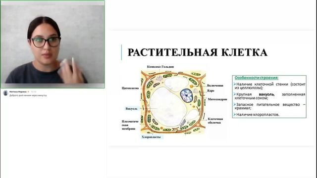 Биология 9 класс. Летняя поддержка 20.06.2024 смотреть онлайн