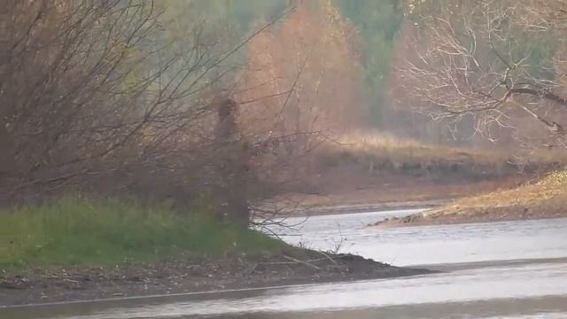 Рыбалка на реке смотреть онлайн