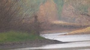 Рыбалка на реке