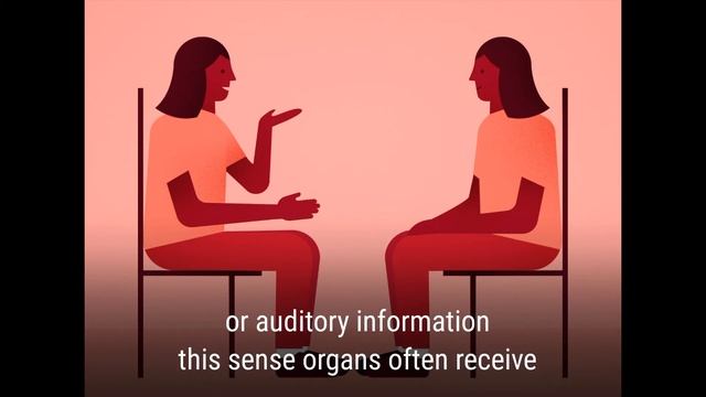 THREE MAIN STAGES OF INFORMATION - INFORMATION PROCESSING THEORY смотреть онлайн
