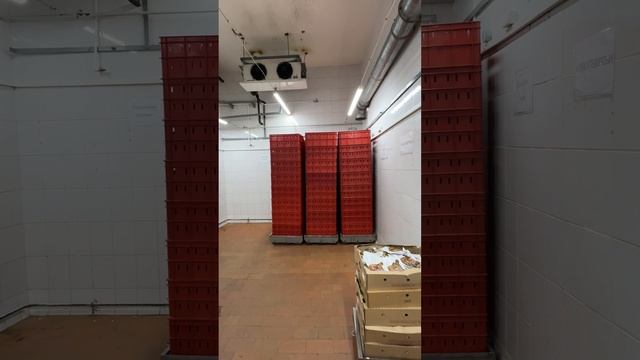 04-04-2025 смотреть онлайн