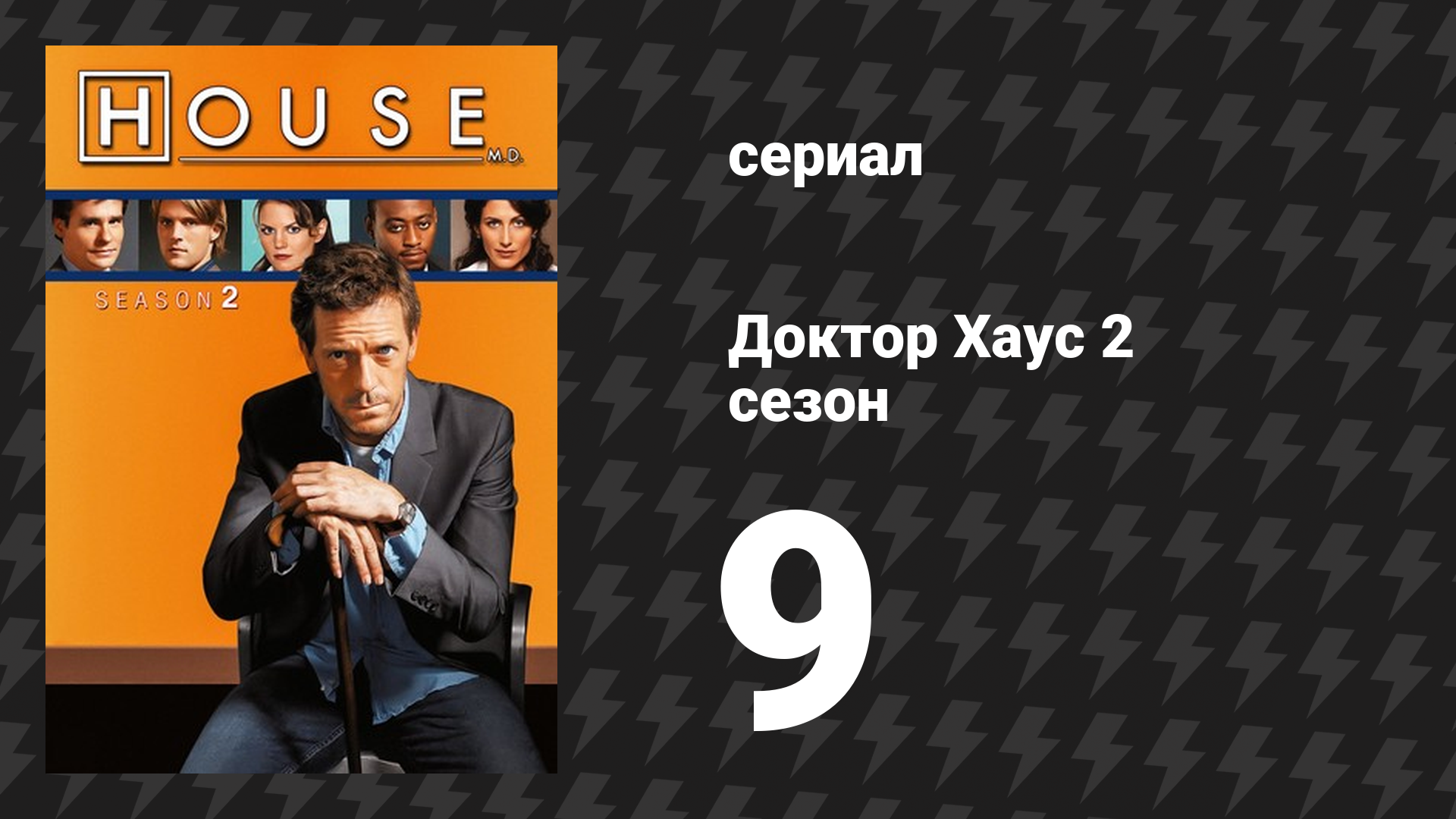 Доктор Хаус 2 сезон 9 серия «Обман» (сериал, 2005)