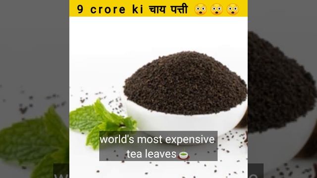 दुनिया का सबसे महंगा चाय पत्ती।। #shorts смотреть онлайн