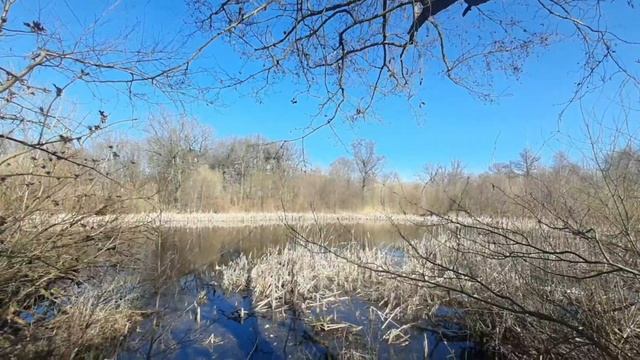 Краснофлотское