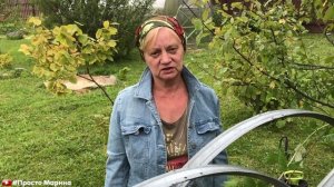 Черная малина сорт Кумберленд. Уход и обрезка осенью.