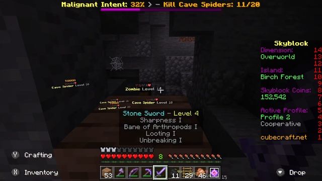 CubeCraft SkyBlock – Birch Forest Sixth Island
