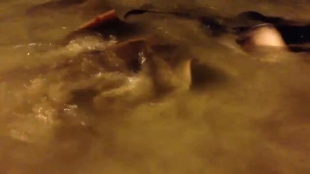 Кормление скатов смотреть онлайн