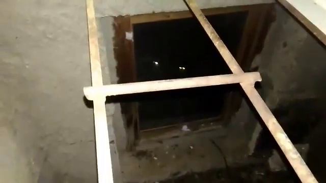 Читатели: в Солнечном-2 в подвале жилого дома замуровали живых котят смотреть онлайн