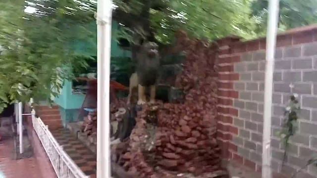 CHODAKDA DACHA SOTILADI 🏠🏘🏝🏕☎️+99894 171 07 29 смотреть онлайн