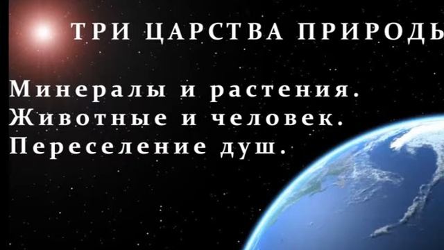 Три царства природы. "Книга Духов". Книга 2. Глава11. смотреть онлайн