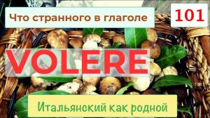 Нормальности и странности итальянского глагола VOLERE – Значения и примеры – 101