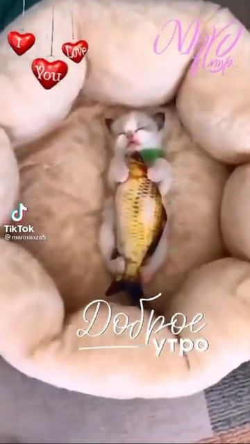 Самый милый котёнок смотреть онлайн