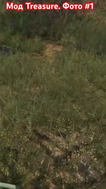 Мод Treasure. Фото #1. Залетайте к нам на сервер New world PVE! Рады всем! 🫶🏻 #провыживание #dayz