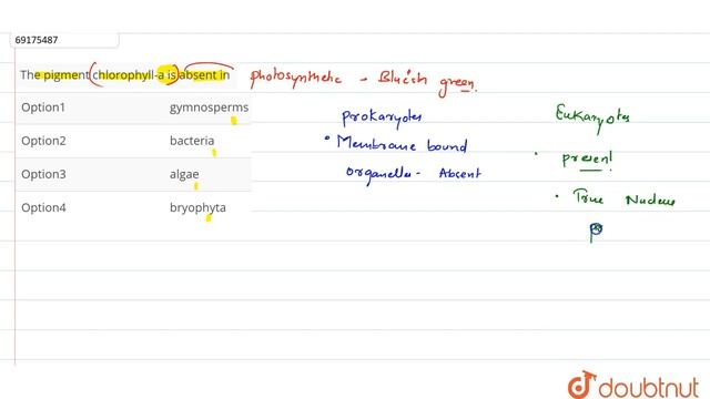 The pigment chlorophyll-a is absent in смотреть онлайн