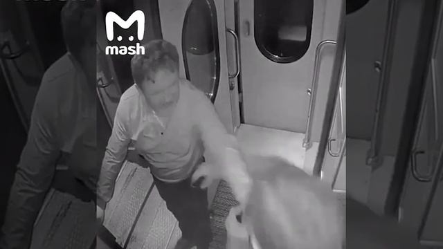 Дебошир на поезде Санкт-Петербург - Вологда смотреть онлайн