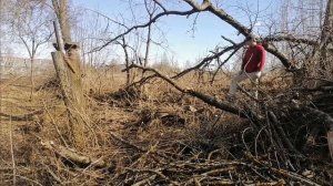Весенняя уборка в заброшенном саду