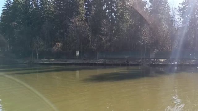 Голицыно Fish 4 апреля 2025 смотреть онлайн