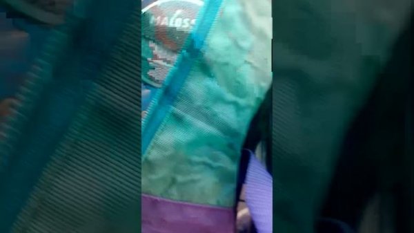 прячусь в новом месте