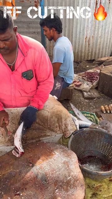 KASIMEDU MINNAL RAJA BARRACUDA FISH CUTTING VIDEO #kasimeduminnalraja #fishcutting #youtubeshorts смотреть онлайн