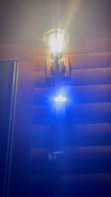 👀 Solar-Powered Bug Zapper + Motion Sensor Light!! #homesteading #floridagarden #mosquito #bugs смотреть онлайн