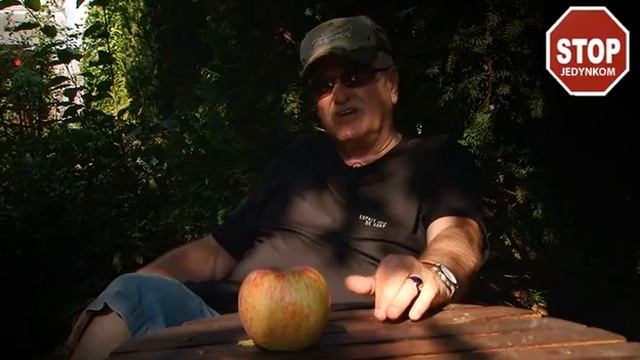 Jan Nowicki - STOP JEDYNKOM - www.stopjedynkom.pl смотреть онлайн