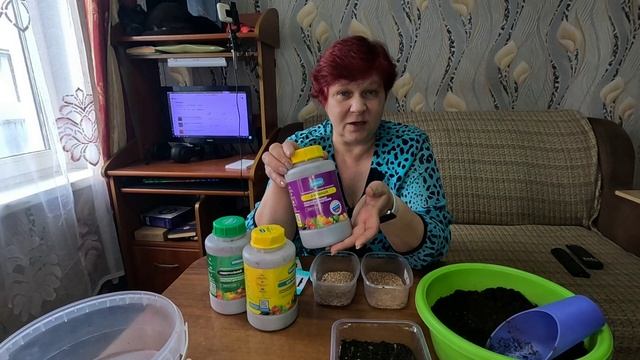 Посев цветной капусты!! Как вырастить капусту дома, чтобы не вытягивалась!! смотреть онлайн